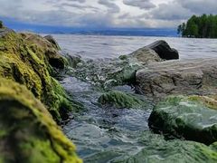 -洱海月湿地公园