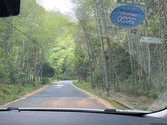 -江西阳明山国家森林公园