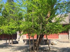 -承恩寺