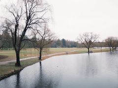 -上海共青森林公园