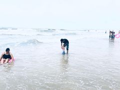 -盐洲岛