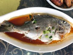 -七鲜渔港美食餐厅(巽寮湾海景店)