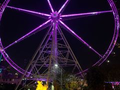 -锦江乐园舞狸花花游园会(夜场专享)
