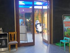 -西霞口神雕山野生动物世界