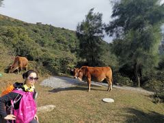 -大姆山草场