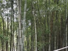 -丹山赤水风景名胜区