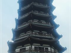 -洋湖国家湿地公园