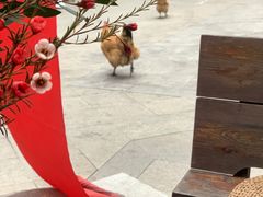 -悟饮门市景店