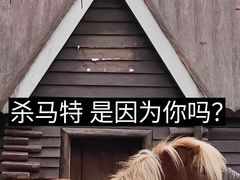 -上海野生动物园