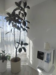-HEYAN荷妍专业脱毛连锁机构