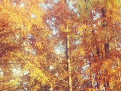 -苏州河梦清园环保主题公园