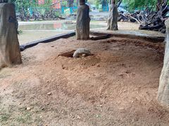 -广州长隆飞鸟乐园