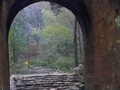 -仙霞关景区