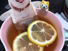 -逗柴咖啡屋·狗咖猫咖宠物桌游