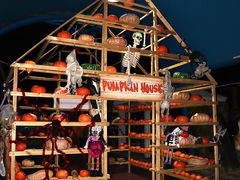 -巨鹏飞梦幻海岸