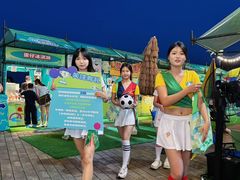 -野狸岛
