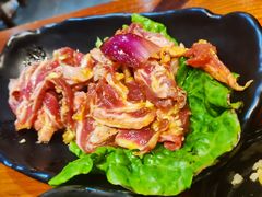 -丹东特色烤肉(学府路一部店)