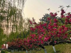 -元大都城垣遗址公园