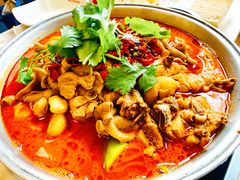 肥肠公鸡锅-彭记铁锅肥肠(东四总店)