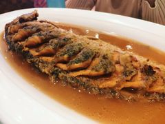 红烧黄河大鲤鱼-阿庄新豫菜(航海东路店)