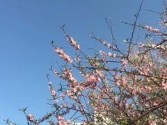 -西南政法大学(渝北校区)