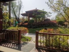 -思念果岭悦温泉