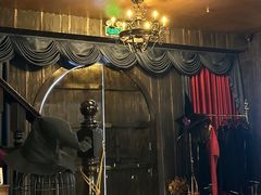 -雪灵魔法世界SHELLY’S TAROT(大良桂畔里店)