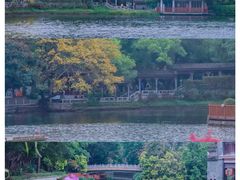 -荔湾湖公园
