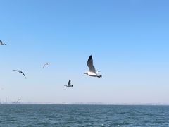 -大连海昌东方水城
