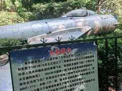 -伯先公园