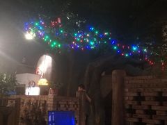 -树下时尚餐厅(翠园街店)