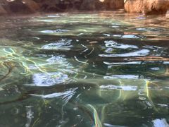 -湖泉半山温泉(湖泉生态园)