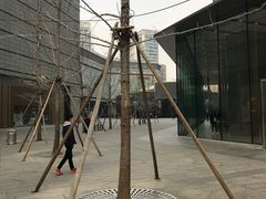 -Apple零售店(华贸购物中心店)