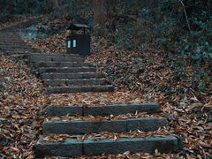 -九曜山