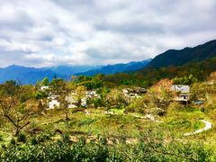 -塔川景区