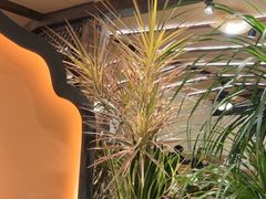 -多哥水傣味餐厅(司马巷店)