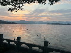 -杭州西湖柳莺里酒店·闻莺厅