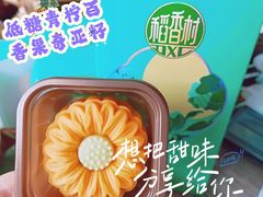 -北京稻香村(燕儿岛路店)