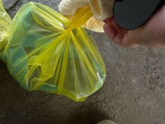 -马陆小张葡萄园农家乐