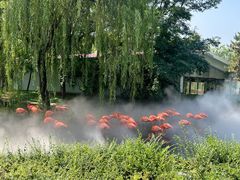 -石家庄市动物园