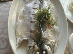 清蒸大白鳃-张鸟园农家乐(张鸟园店)