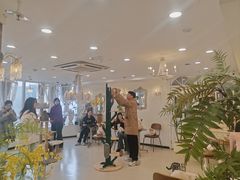-共舞时光猫咖·狗咖(新街口店)