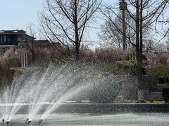 -石家庄市植物园