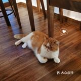 独栋日式风庭院x咖啡店