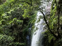 -莫里热带雨林景区
