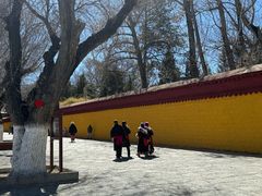 -罗布林卡
