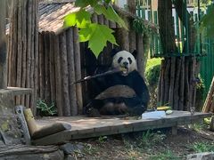 -大连森林动物园