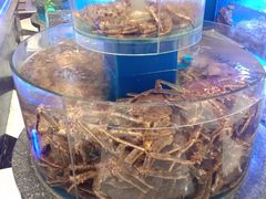 水产区-新海渔港·胶东海鲜家常菜·家宴(奥体中心店)