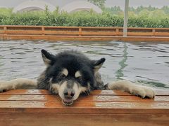 -太阳岛度假酒店