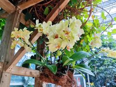 -南山植物园